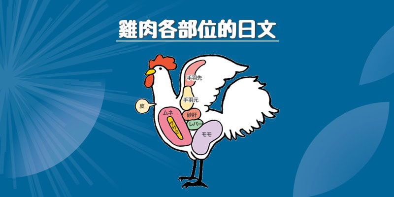 雞肉的部位(鶏肉の部位)的日文〜 Japanese Vocabulary related to Chicken Cuts
