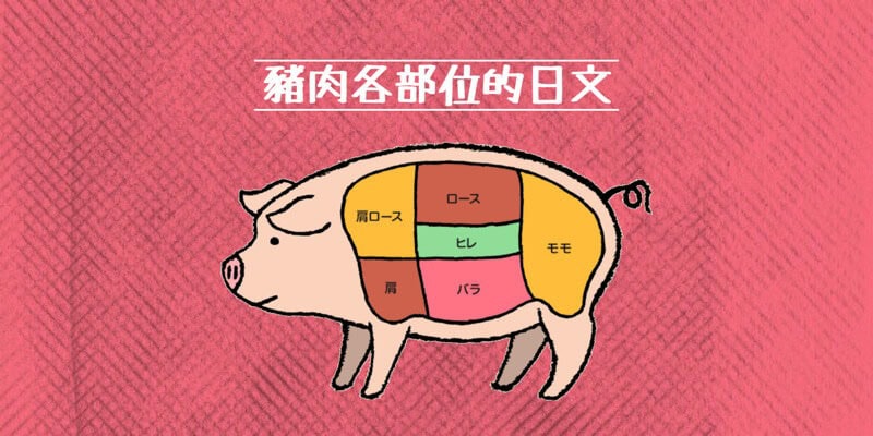 豬肉的部位(豚肉の部位)的日文〜 Japanese Vocabulary related to Pork Cuts