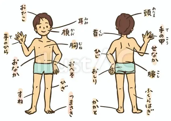身體部位(体の部位)的日文〜Japanese Vocabulary related to Body Parts