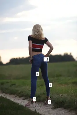 下半身:後面足編