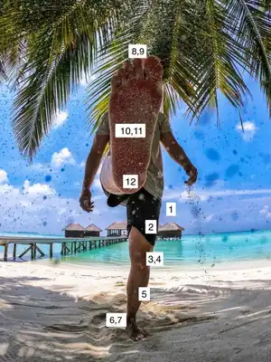 下半身:前面足編