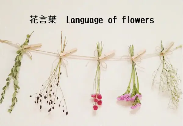花和花語(花・花言葉)相關的日文〜 Japanese Vocabulary related to Language of flowers