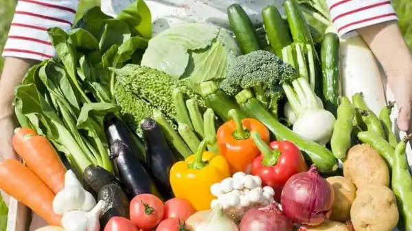 各種蔬菜(野菜)的日文〜 Japanese Vocabulary related to Vegetables