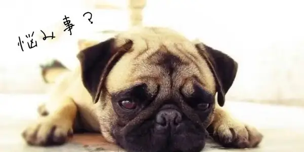 聊心事・建議(悩み事・助言)相關的日文〜 Confide in someone & Get advice in Japanese