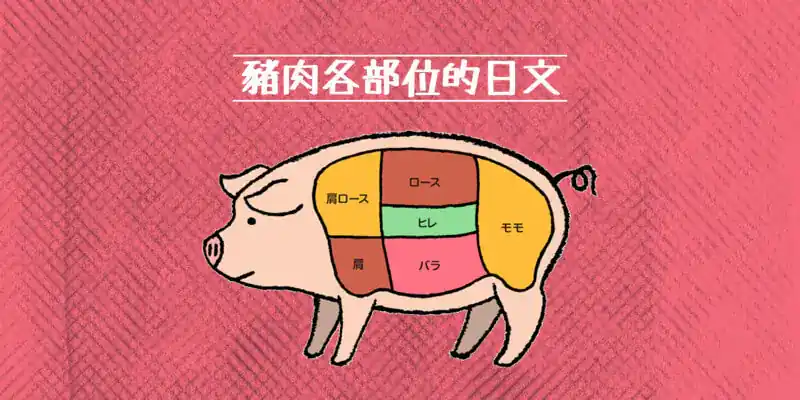 豬肉的部位(豚肉の部位)的日文〜 Japanese Vocabulary related to Pork Cuts