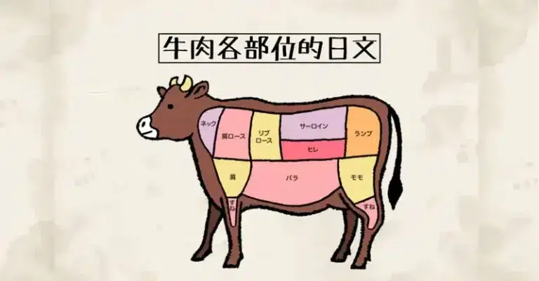 牛肉的部位(牛肉の部位)的日文〜 Japanese Vocabulary related to Beef Cuts