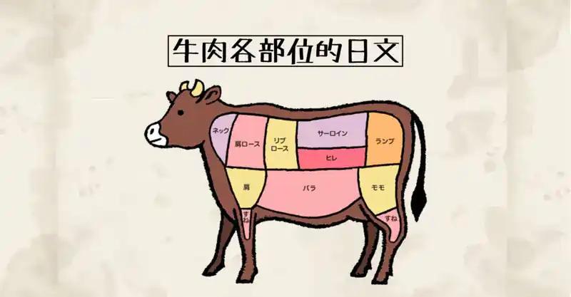 牛肉的部位(牛肉の部位)的日文〜 Japanese Vocabulary related to Beef Cuts