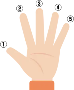 五根手指的日文