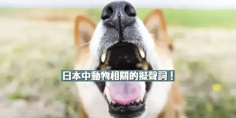 動物的叫聲(動物の鳴き声)的日文〜 Japanese Vocabulary related to Animal Sounds