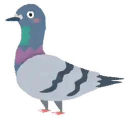 はと 鴿子叫聲的日文