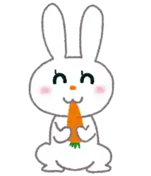 うさぎ 兎