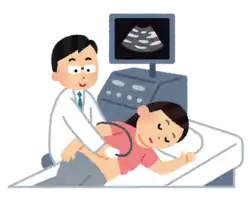 妊娠・エコー検査