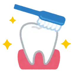 歯を磨く 歯医者