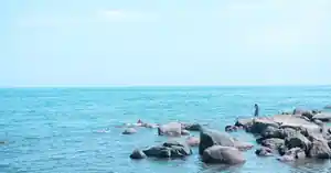 日本海洋節的日文