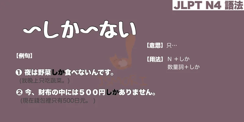 【N4 文法】〜しか〜ない（意思・用法・例句）