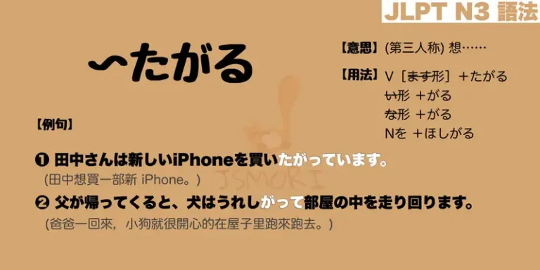 【N3 文法】〜たがる（意思・用法・例句）