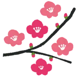 梅の花