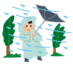 強い風 台風 暴風雨