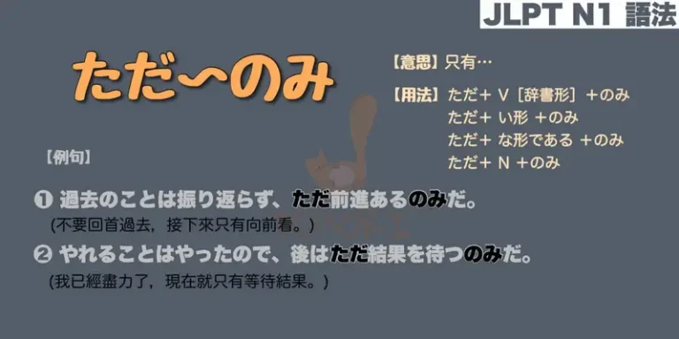 【N1 文法】ただ〜のみ（意思・用法・例句）