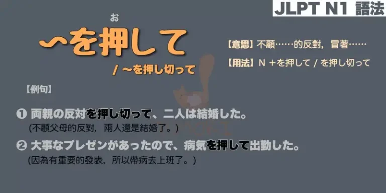 【N1 文法】〜を押して / 〜を押し切って（意思・用法・例句）