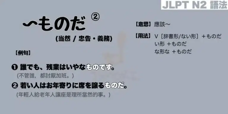 【N2 文法】〜ものだ❷ (当然 / 忠告・義務)(意思・用法・例句)