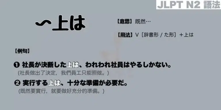 【N2 文法】〜上は（意思・用法・例句）