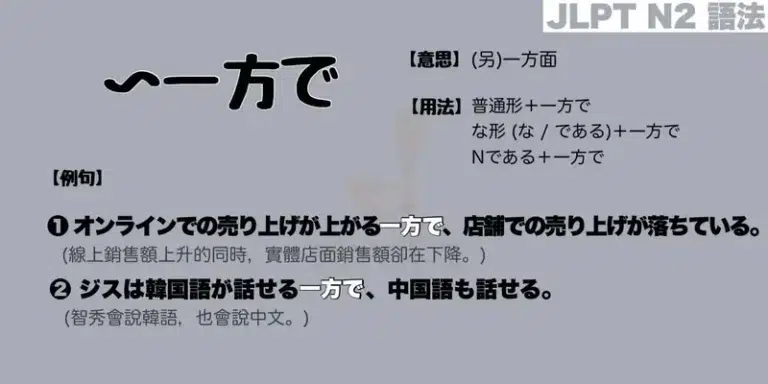 【N2 文法】〜一方で(意思・用法・例句)