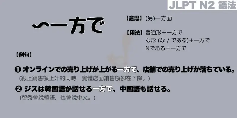 【N2 文法】〜一方で（意思・用法・例句）